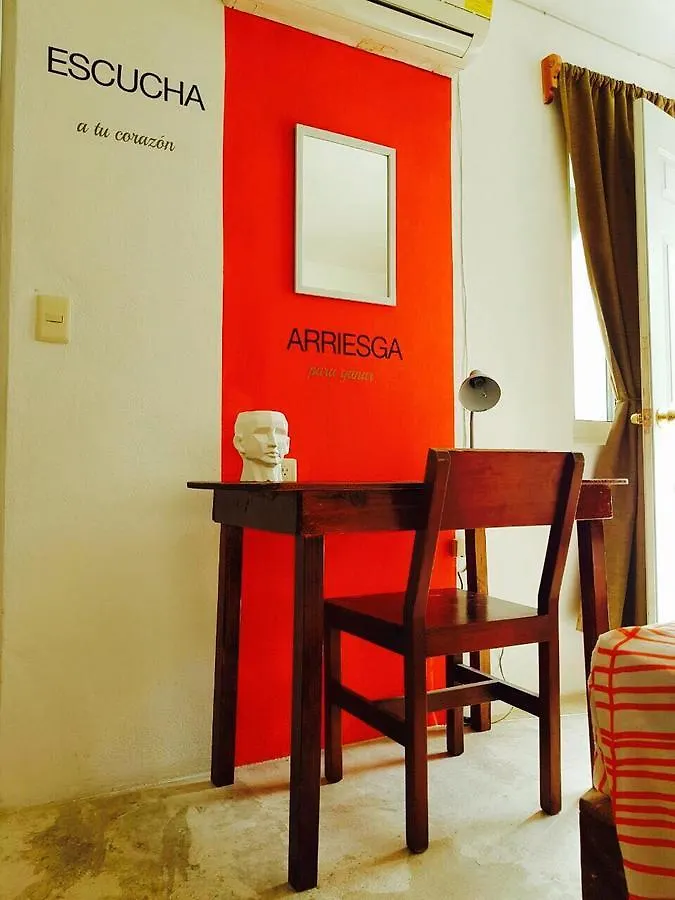 Estudios Calle 28 Playa del Carmen