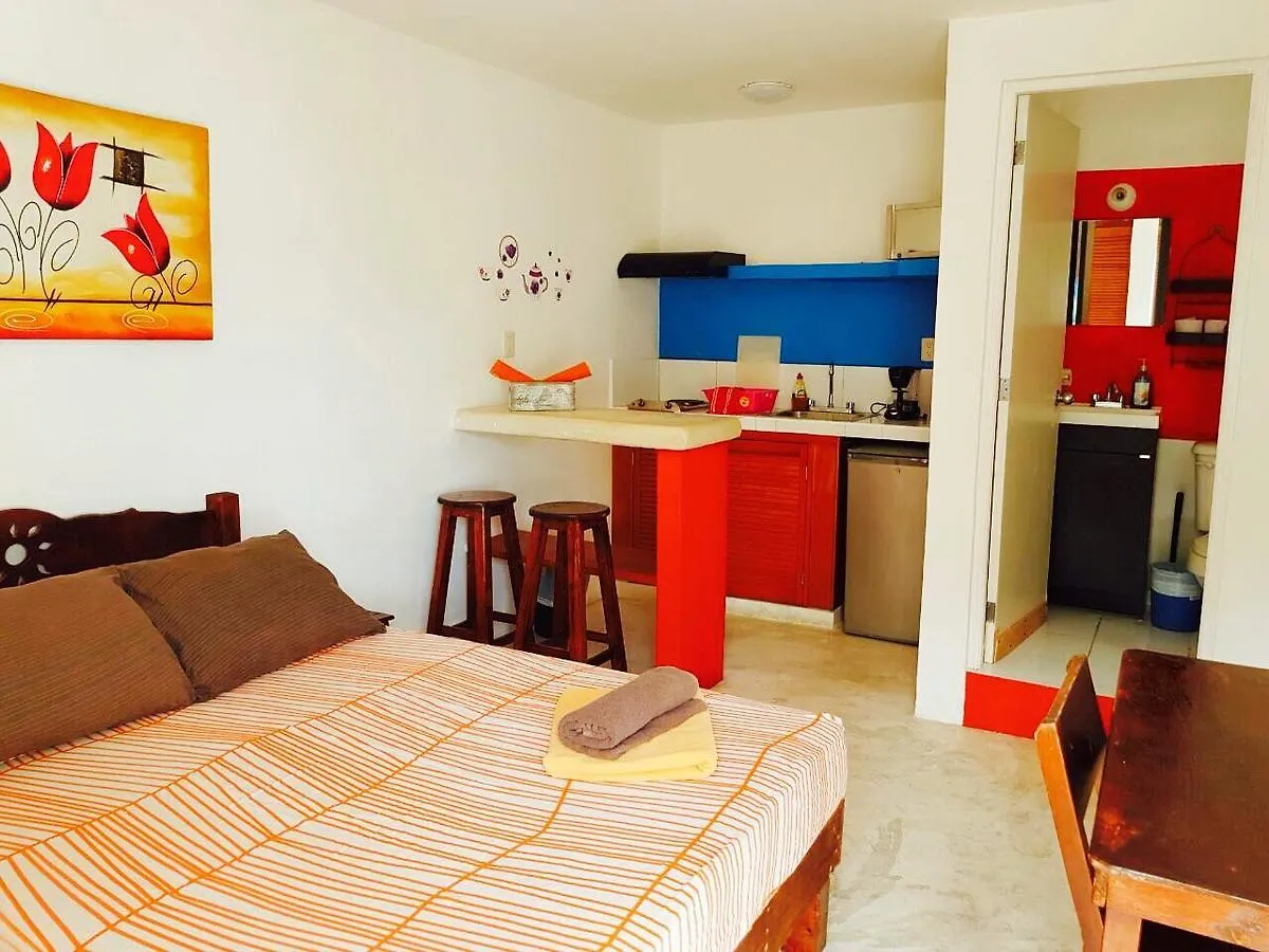 Estudios Calle 28 Playa del Carmen Mexico